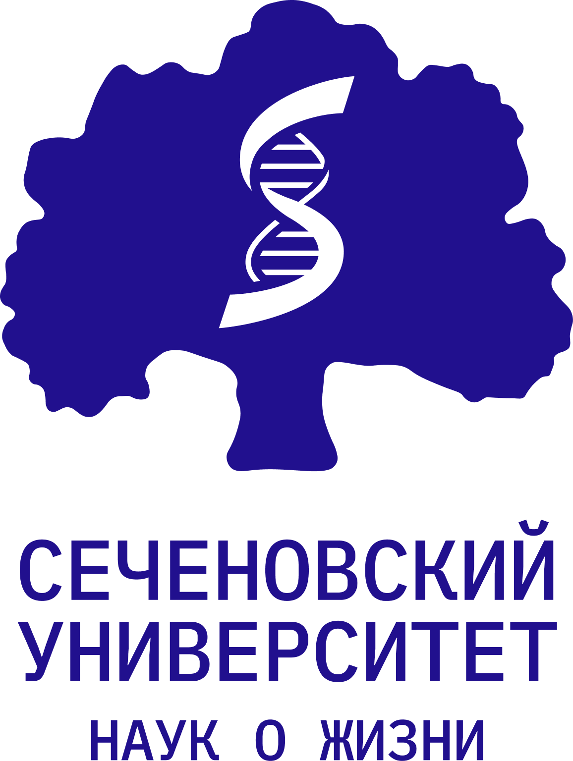 МГМУ им. И.М. Сеченова (Сеченовский университет)