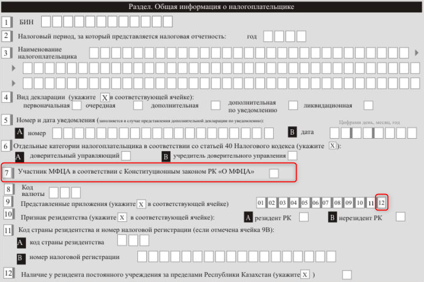 Новая форма 100. Формы налоговой отчетности. Форма 100 бланк. Форма 100 заполненная. Код страны для налоговой.